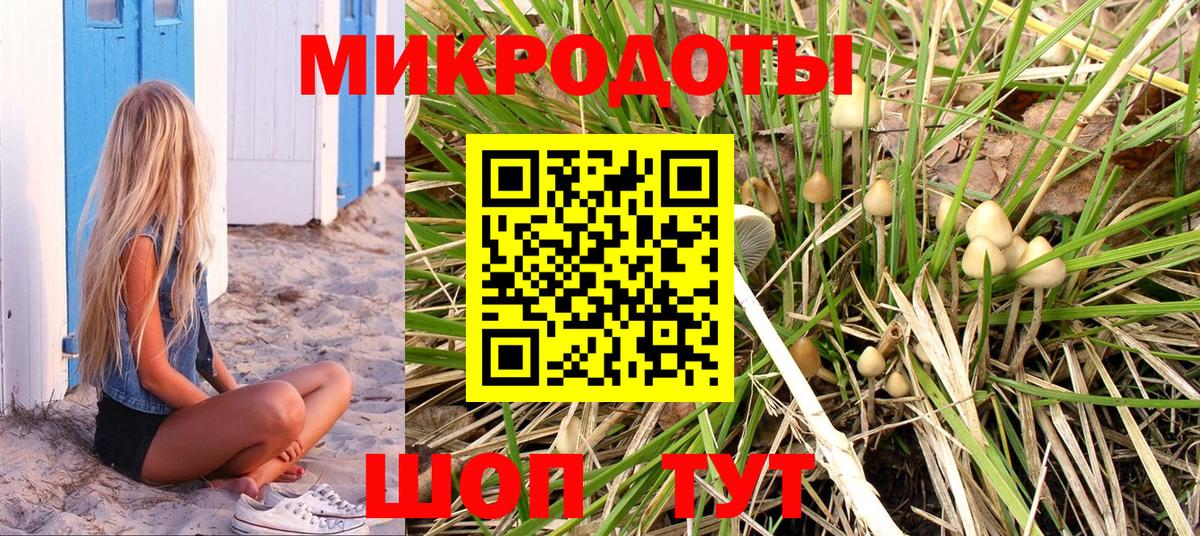Сердобск  Псилоцибиновые грибы ЛСД  Вход с VPN  Псилоцибиновые грибы Cubensis 