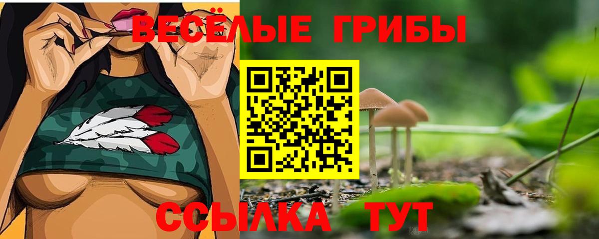 Галлюциногенные грибы Cubensis Сердобск
